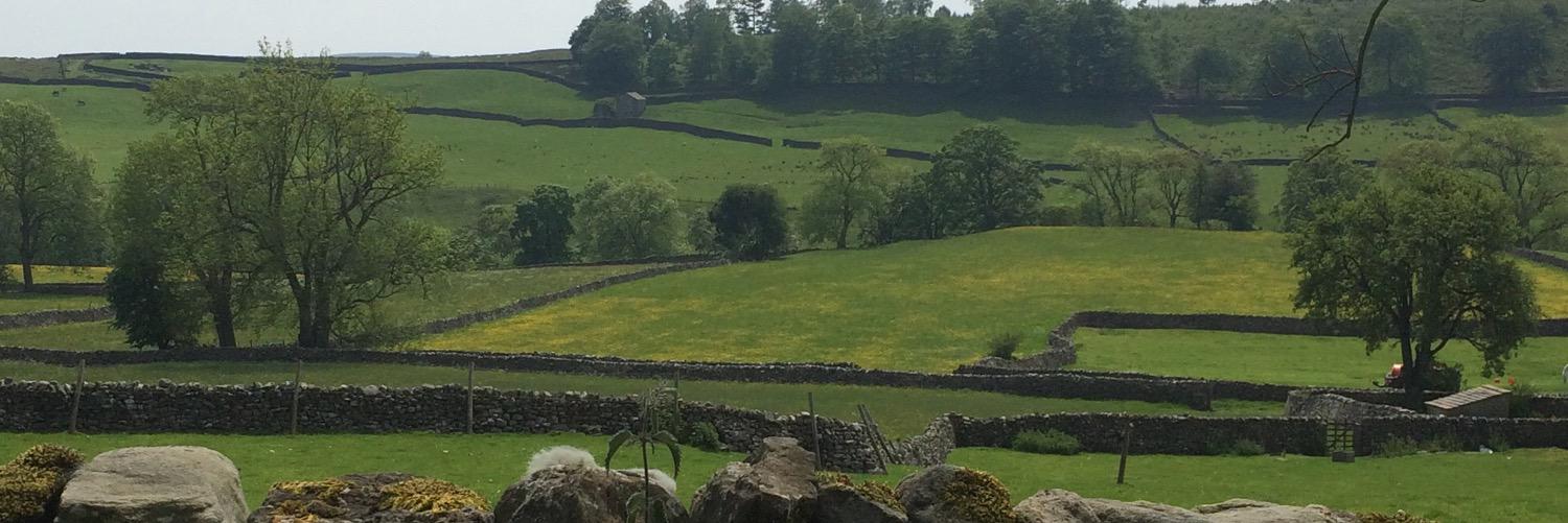 tinayorkshire's profile banner image