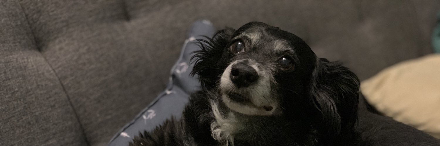 HeythurG's profile banner image
