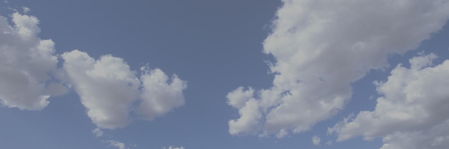 taticardinali's profile banner image