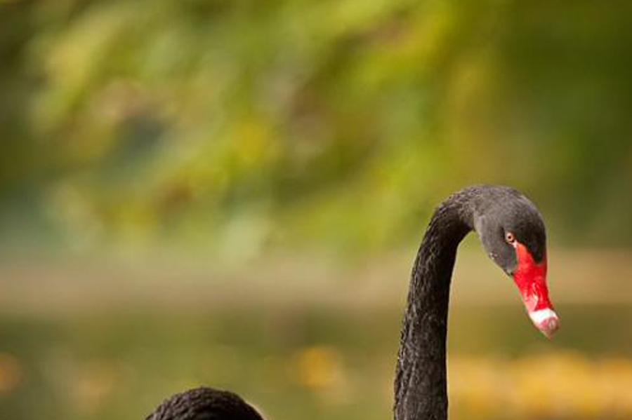 esuntoo's profile banner image