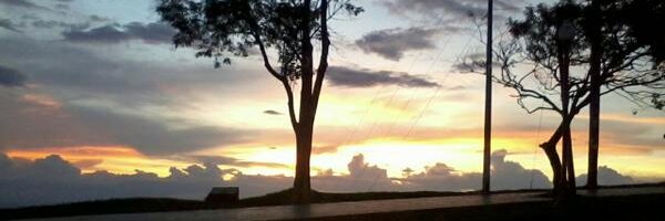 animesa Profile Banner