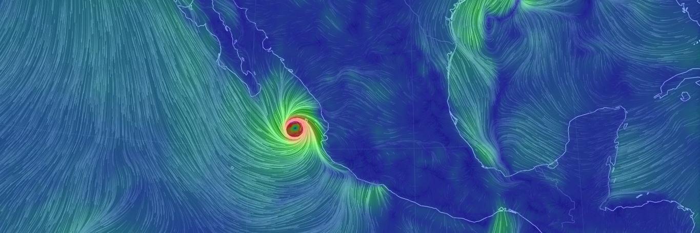 Denis Rodrigues banner