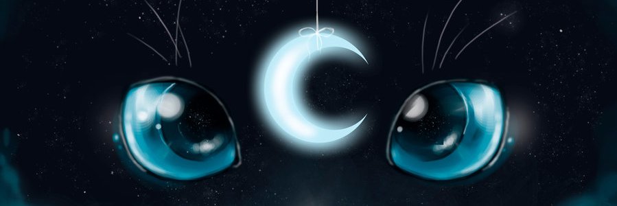 drgonfyrelite's profile banner image