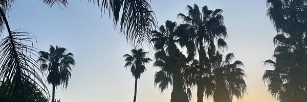 SamGuastella Profile Banner