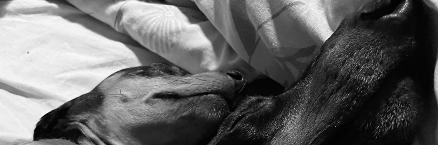 milagrosanchezf's profile banner image