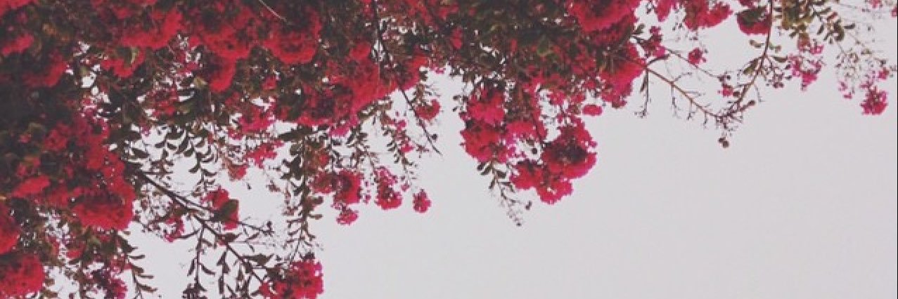 romaxvanessa's profile banner image