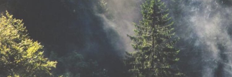 ethanpucey_hp's profile banner image