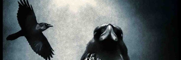 Fixedgears ω banner