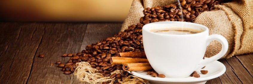 Vilma Andrade banner