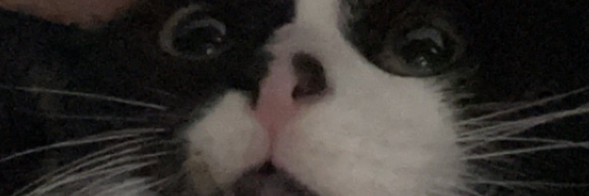 Emily_Jayde97's profile banner image