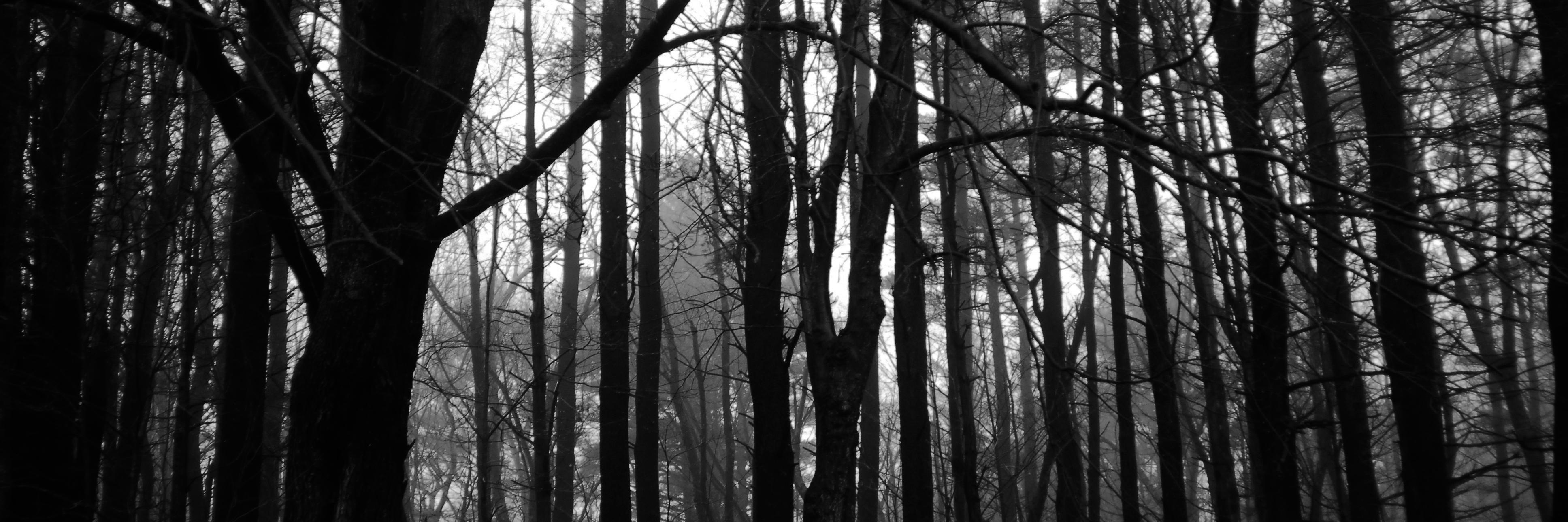 Kvlt Magazine banner