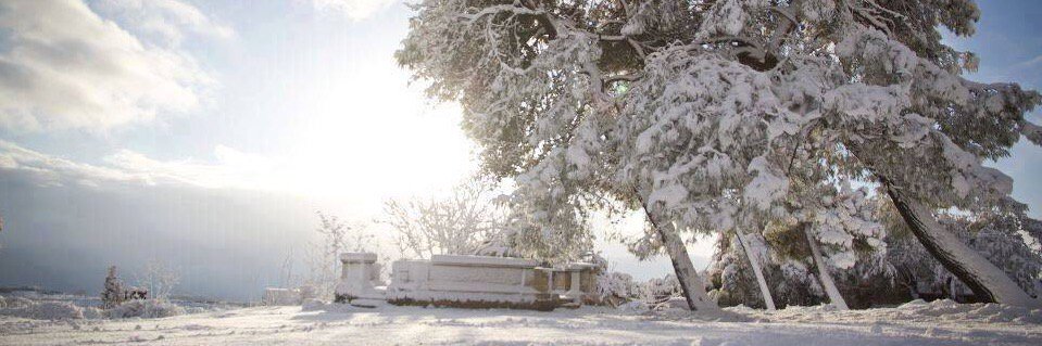 Campaign4Truth banner