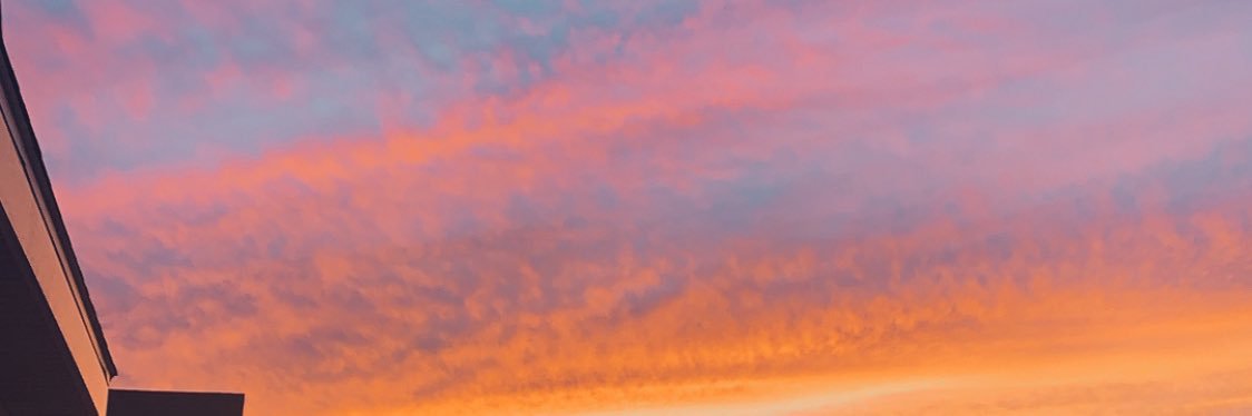 tilliesitz's profile banner image