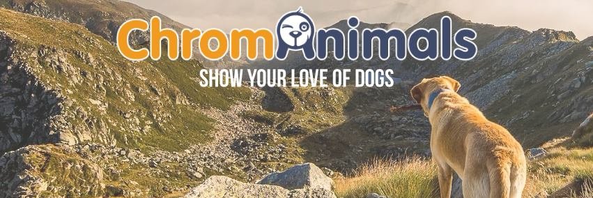 Chromanimals's profile banner image