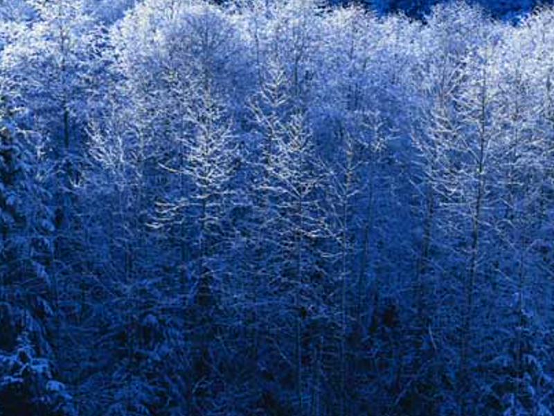 terdintan's profile banner image