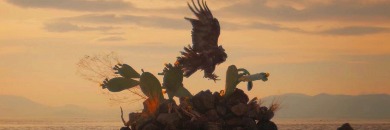 plosh08's profile banner image