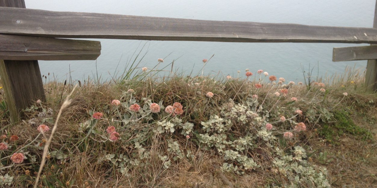 MichelleWolff_'s profile banner image