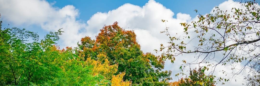 jusnice845's profile banner image