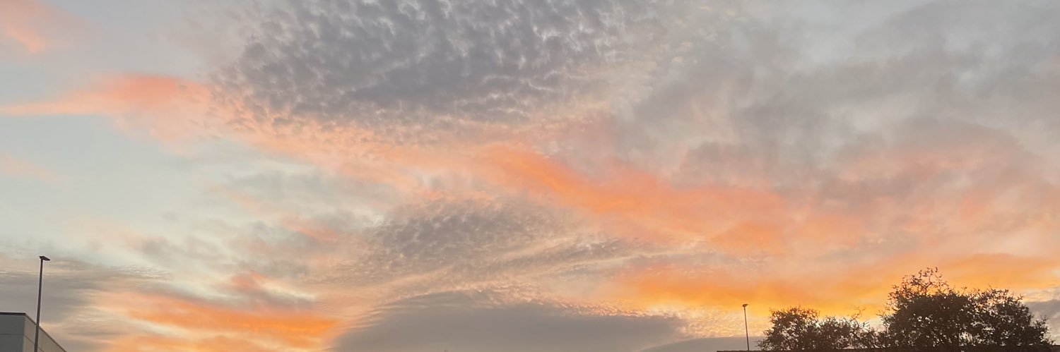 elicasstillo's profile banner image