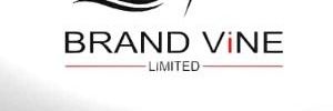 brandvineltd's profile banner image
