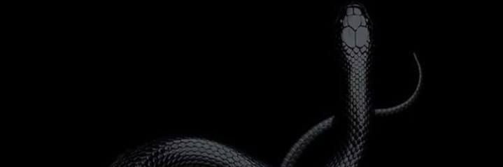 krkya_ase's profile banner image