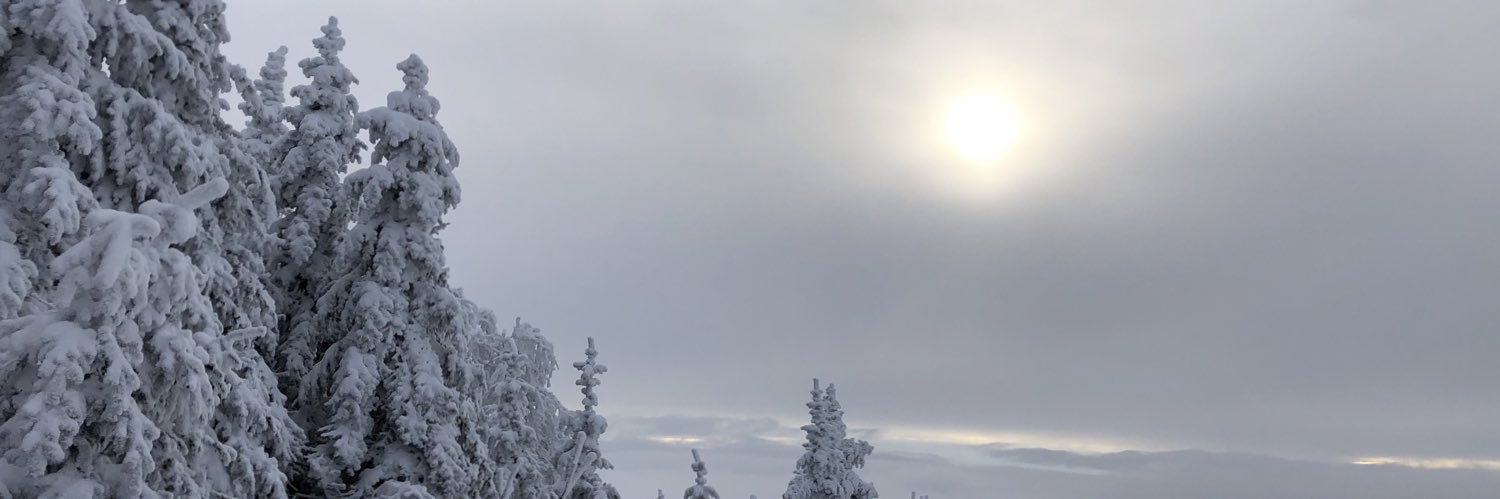 mdiancu's profile banner image