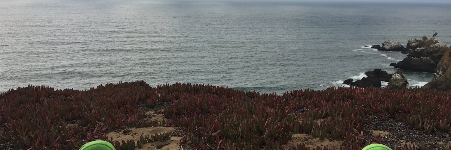 gobluemk's profile banner image