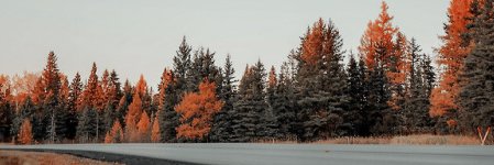 TedBadger's profile banner image