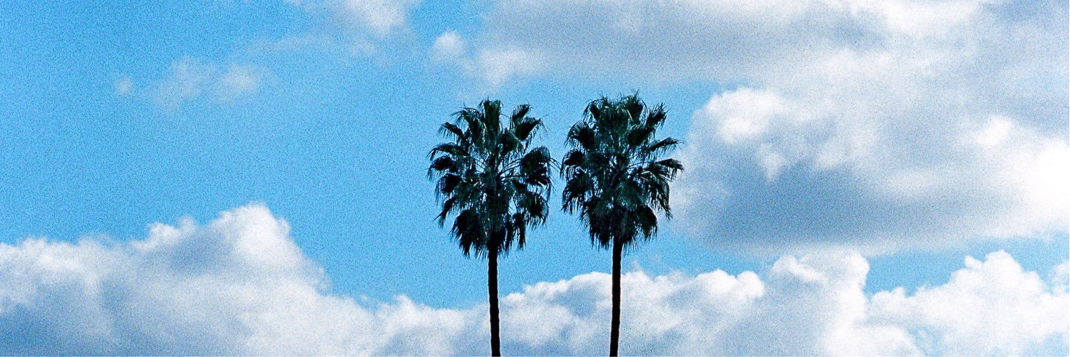 Michael Rochin banner