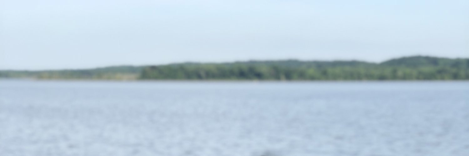 MargotMoney's profile banner image