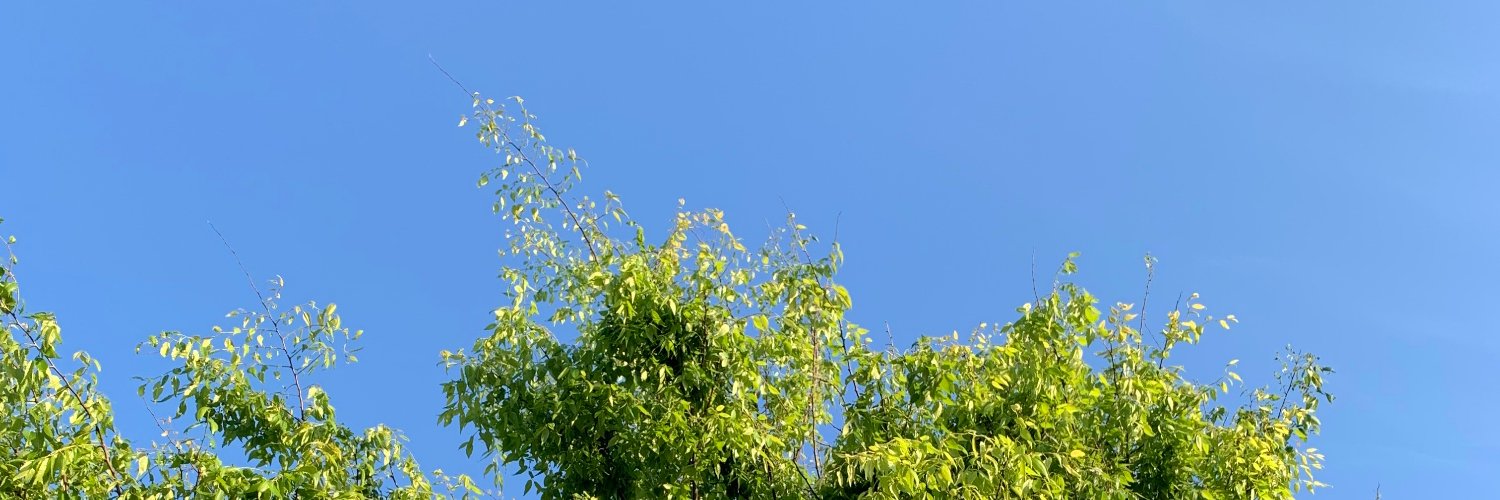 SabrinaTalks2's profile banner image