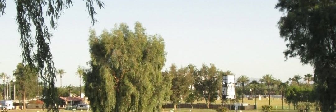 Chilliv_'s profile banner image