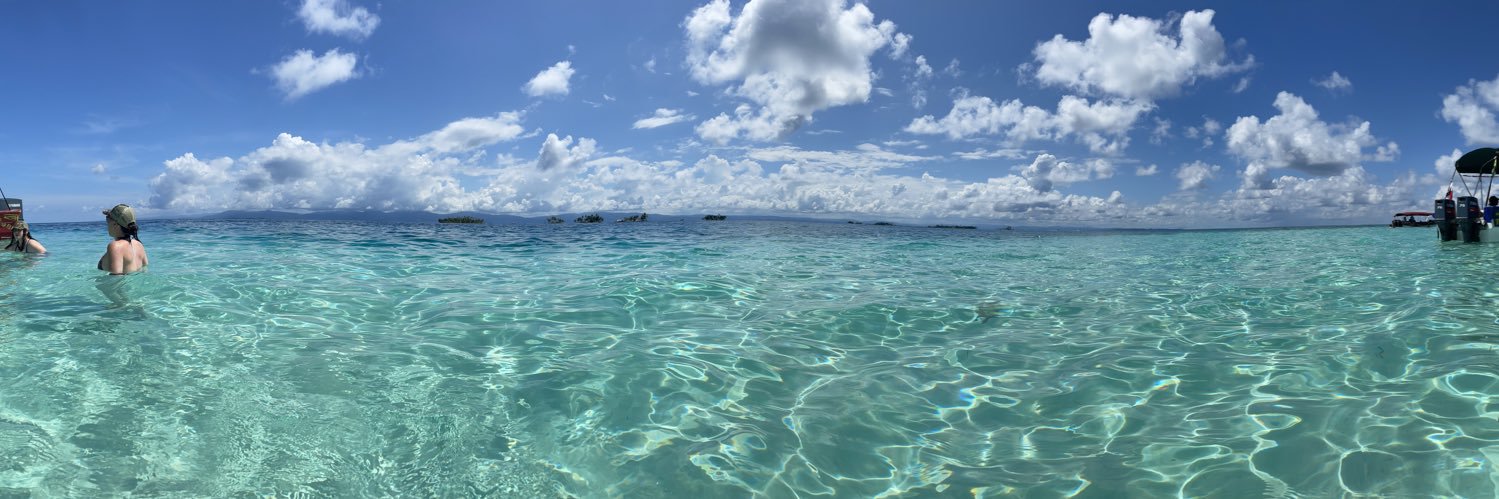 Cris Sosa  banner