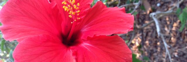 lhutton1234's profile banner image