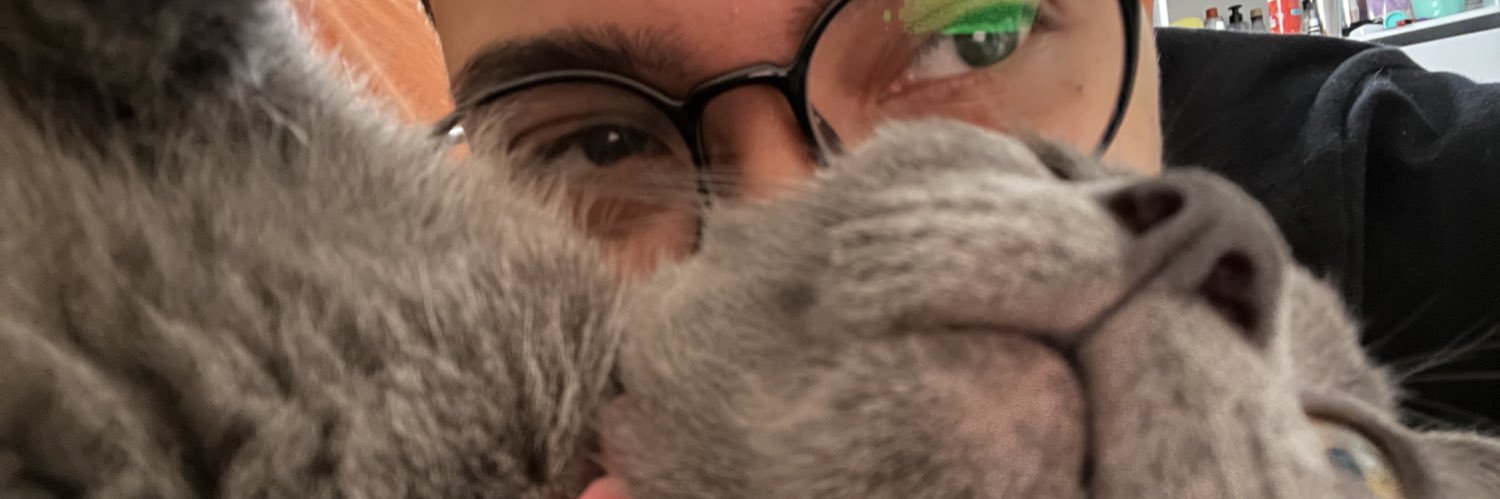 AnaProtazio's profile banner image