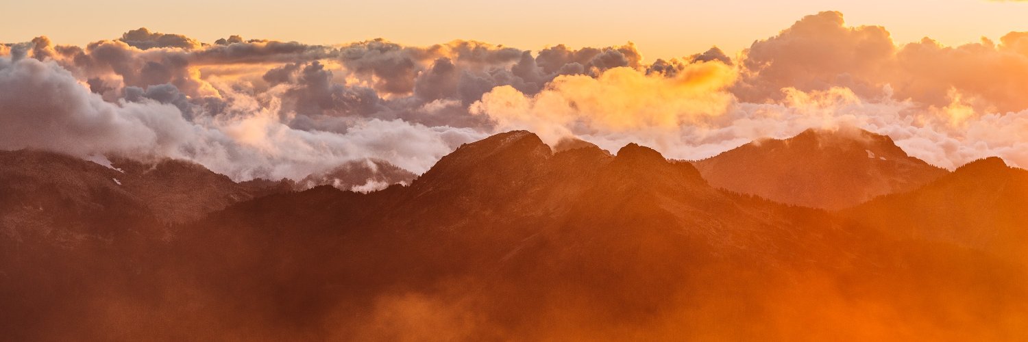 linity's profile banner image