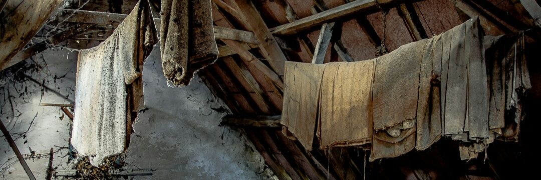RH_Photo_graphy's profile banner image