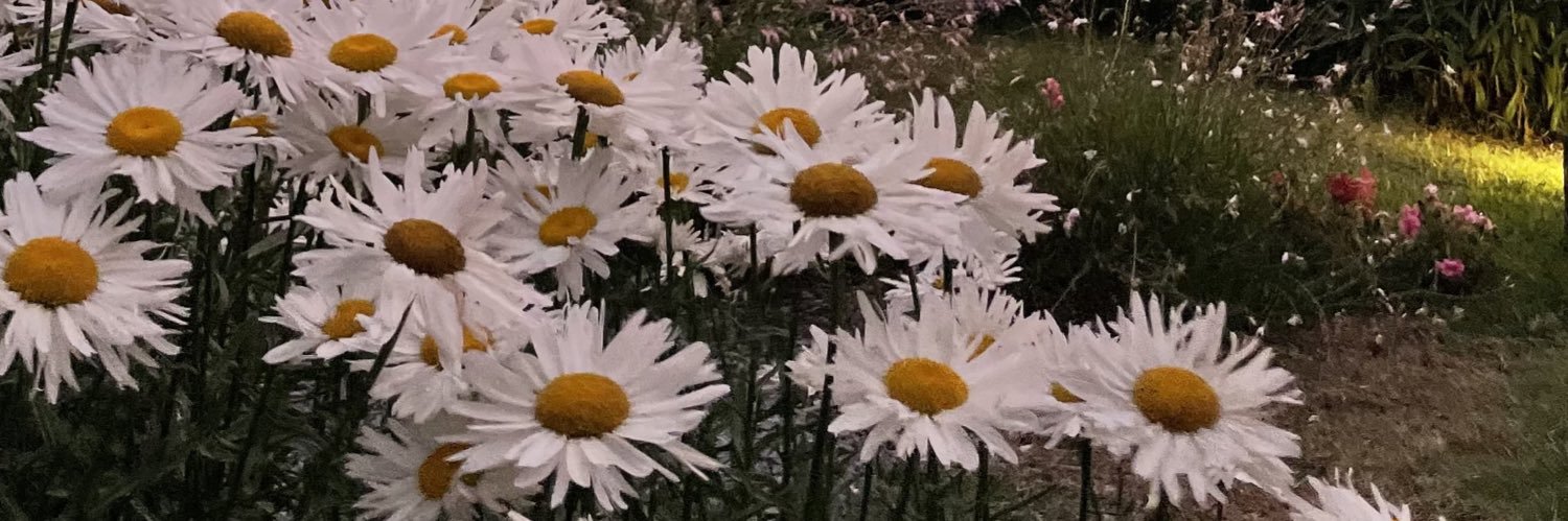 Bubet's profile banner image