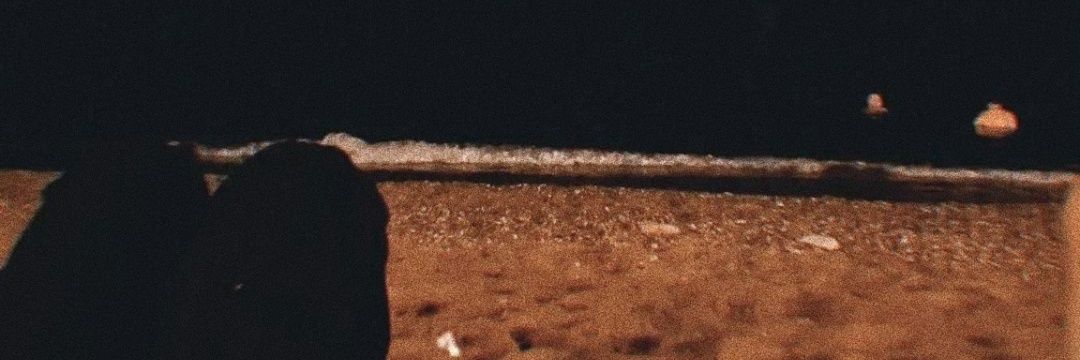zvaileh's profile banner image