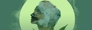Antdizog's profile banner image