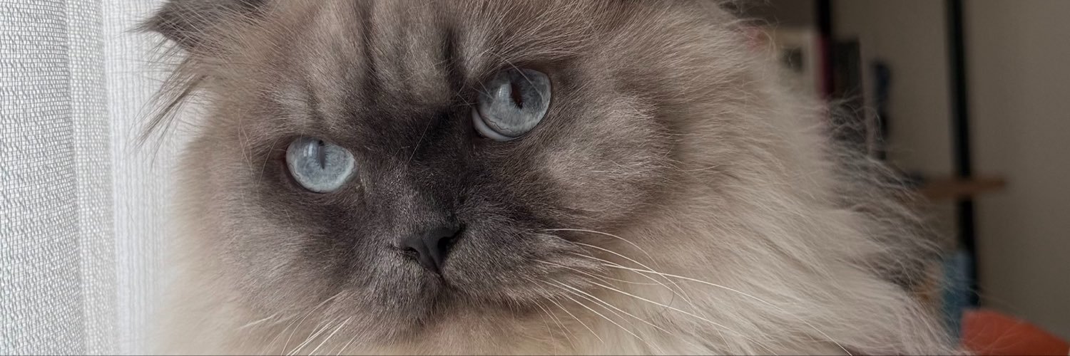 reddaeylul's profile banner image