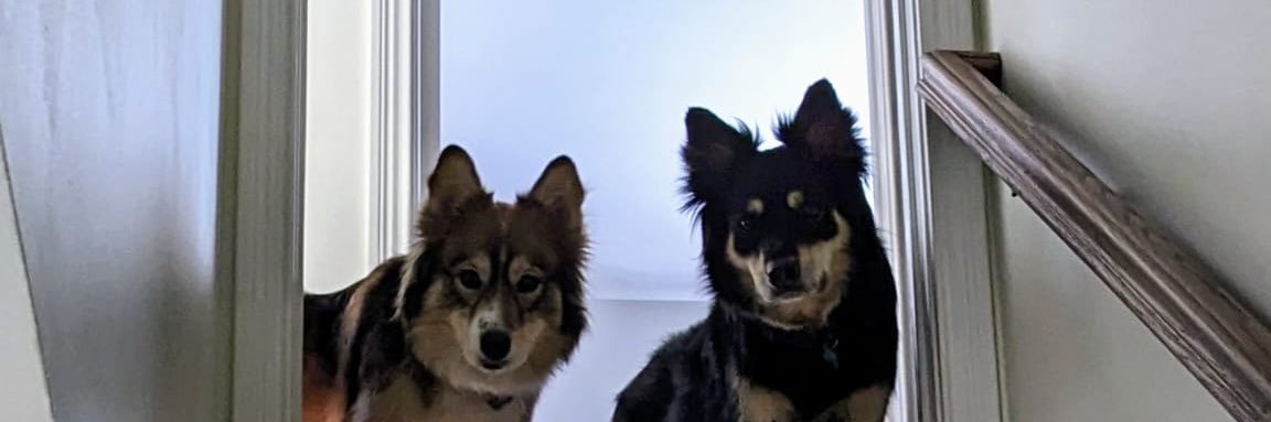 hilaryfetch's profile banner image