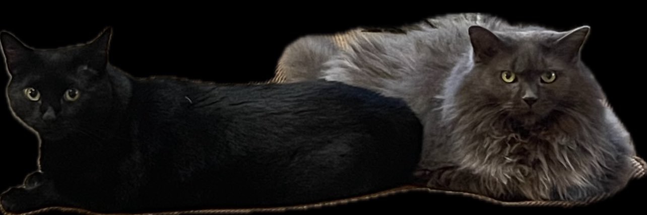 BrianDelesky's profile banner image
