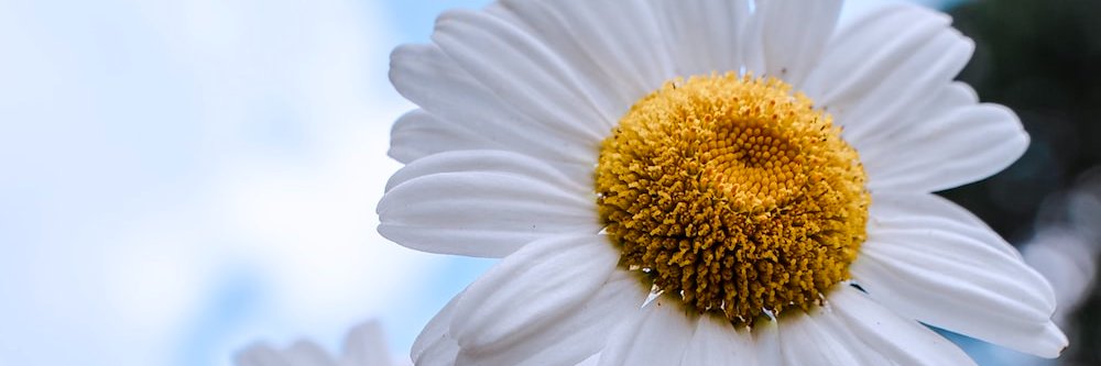 TonanezGaby's profile banner image