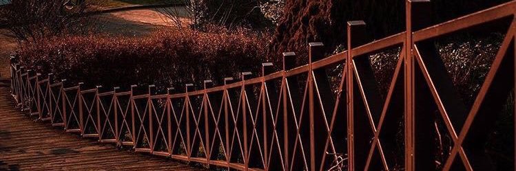 typgraph's profile banner image
