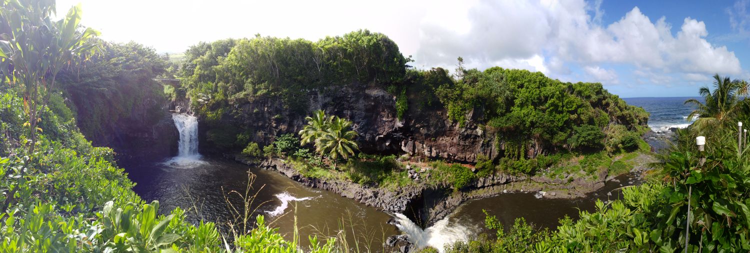 Toby Rothwell 💙 banner