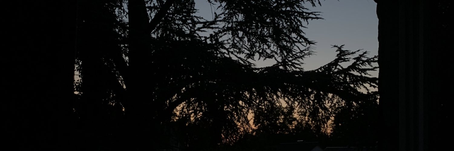nebelschauer's profile banner image