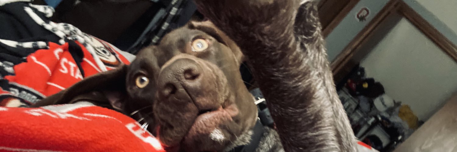 CoreyWalls's profile banner image