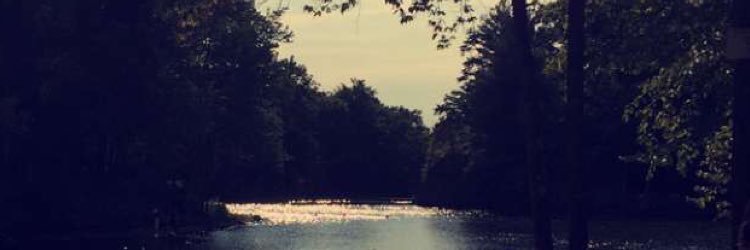 dazzling_demi's profile banner image