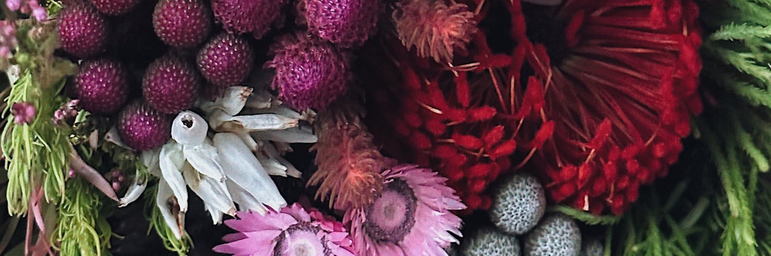 AlexandraJane banner